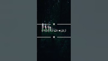 القارئ محمد اللحيدان سورة الفرقان #محمد #آل #ليوخايدان #سورة #آل #فرقان
