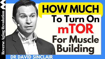 HOW MUCH To Turn On mTOR For MUSCLE BUILDING? | Dr David Sinclair Interview Clips