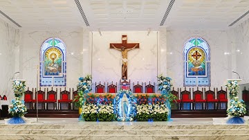 3rd Sunday in Advent - Year - B - 13-12-2020 - 8.00am  Holly Mass