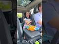 A disabled duckling helps his cat friend 🐥 #shorts #ytshorts