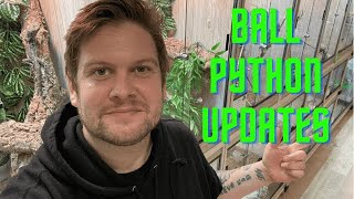 Ball python update