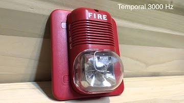 All Tones Of The System Sensor P24 Classic