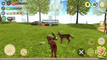 Cat Simulator 2020 Gameplay - Walkthrough (iOS, Android) #5