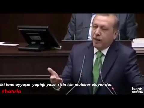 Erdogan Türkcülük boluculuktur