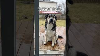 Smuckers Has Officially Been Corrupted By Levis Anti-Mrs Dad Agenda