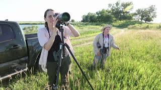 Avian Surveys