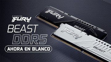 Kingston FURY™ Beast DDR5 - Ahora en blanco