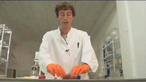 Biorobot  🤖  that runs on electricity ⚡