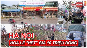 Hoa lê "hét" giá 10 triệu đồng, nhiều khách hàng quay đầu bỏ đi ngay | Báo Người Lao Động