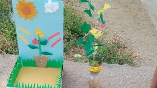 Diy Photosynthesis Model