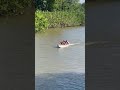 trilha ilha das onças retorno
