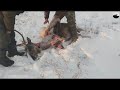 Разделка домашнего оленя  Butchering a domestic deer  Подпишитесь на канал Subscribe to the channel