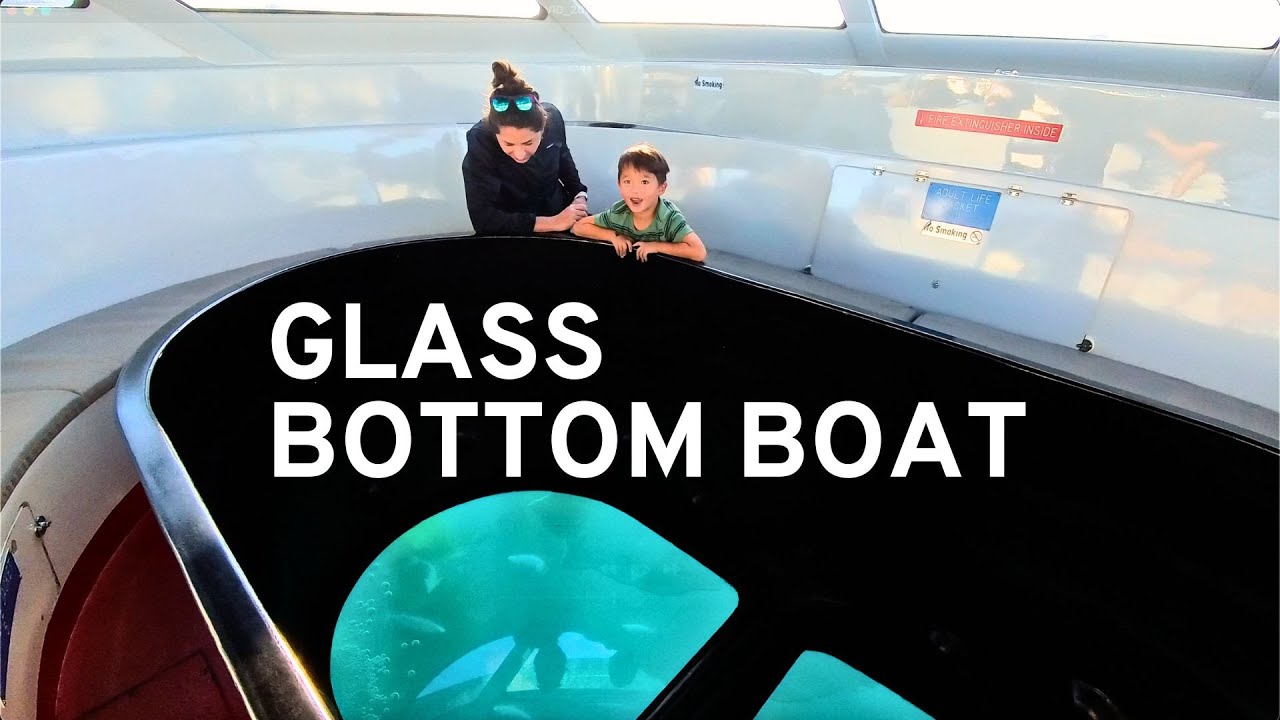 🛥️ Glass Bottom Boat Ride in Long Beach - ToursX Harbor Cruises