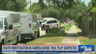 Deputies: Woman's body found in Carrollwood, foul play suspected Net Worth