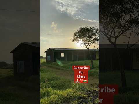 Beautiful Sun Rises In India Foreigners Travel Vlog In India Shorts Shortleft Foreigners