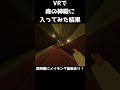 VRで森の神殿に入ってみた結果　#Shorts  【ゼルダの伝説 時のオカリナ / VRChat / NeosVR】【なでしこ大和】