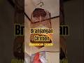 Branjangan Cirebon Java atau Parva ? #branjangan #burungsawah #branjangangacor #kicaumania #masteran