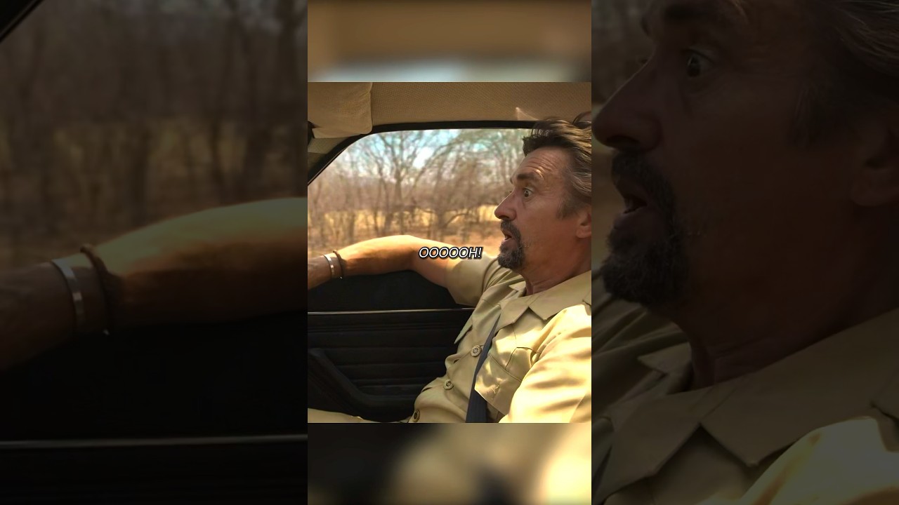 What is a shock absorber for…😅 