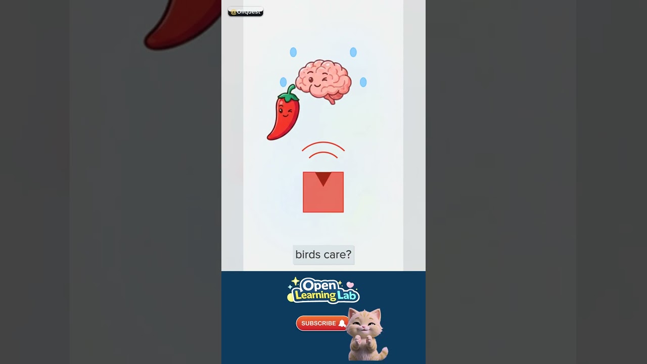 Why Does Spicy Food Feel Hot? — The WHOA fact 🚀 #Shorts