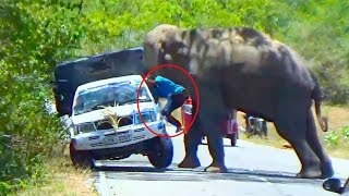 Shocking video: Passengers ejected by elephant attack