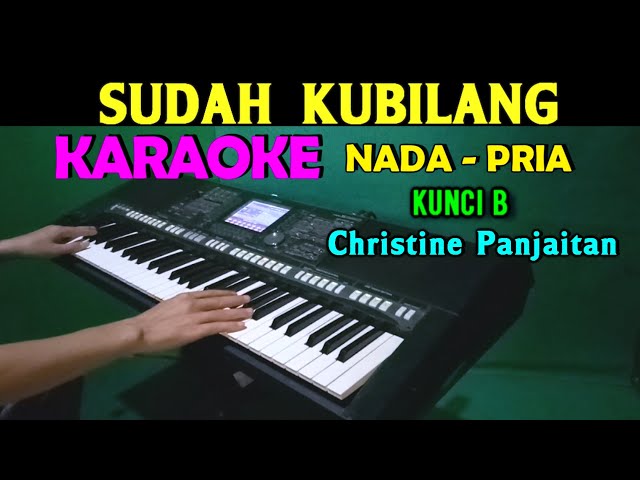 SUDAH KU BILANG - Christine Panjaitan | KARAOKE Nada Pria class=