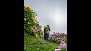 Baharda Kuşlar Gibi Geldin Kondun Dalıma Seversin Diyee 🐦🐦🐦❤️❤️❤️🌹🌹🌹