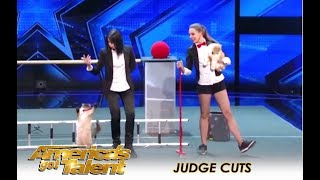The Savitsky Cats: The Most TALENTED Cats You Won't Believe It! | America's Got Talent 201
