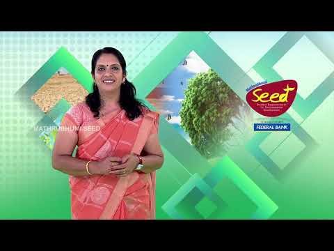 എന്താണ് ആഗോളതാപനം|| What is Global Warming || CLASS 9 || BIOLOGY || CHAPTER 1