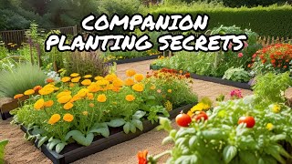 How to Boost Your Garden with Companion Planting