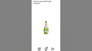 brain out level 136 , you are so smart let