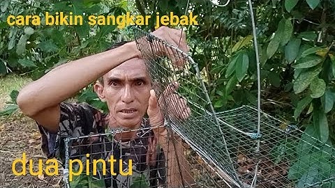 CARA BIKIN SANGKAR JEBAK DUA PINTU