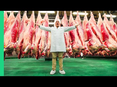 japanese-kobe-beef-factory!!!-most-expensive-meat-in-the-world!!!