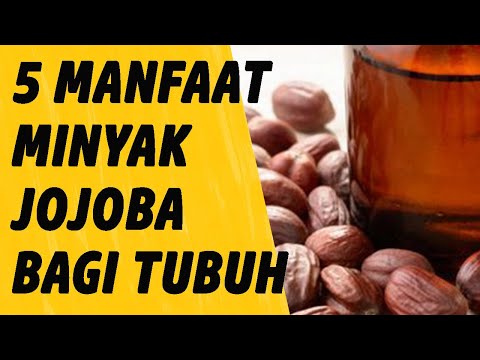 JOJOBA OIL - 5 BENEFITS FOR THE BODY | BENEFITS OF JOJOBA OIL | JOJOBA OIL