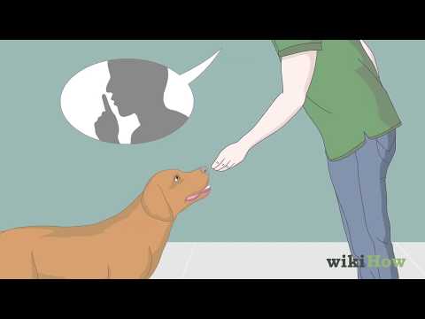 Vidéo: Comment faire taire les chiens