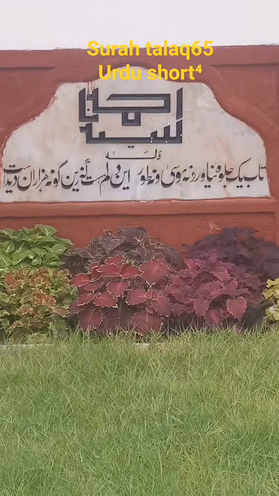 #quran1minute #surahtalaq65 #urduquranseries #viralquranshorts #ndtv345 #raligarians #amu #siryed
