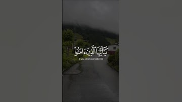 يَا أَيُّهَا الَّذِينَ آمَنُوا اسْتَعِينُوا بِالصَّبْرِ وَالصَّلَاةِ ۚ ـ سورة البقرة