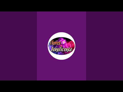 Flores Beneficente está ao vivo!