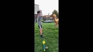 The Jurassic Engame Trailer