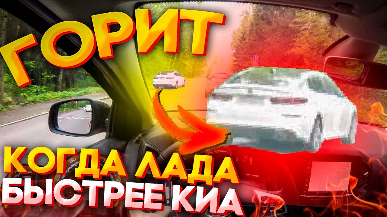 lsga ru РѕС‚Р·С‹РІС‹