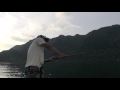 43lbs GT caught by freshwater bc setup with Gong Lei