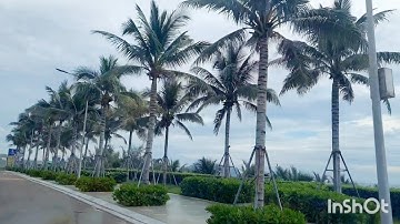 🌵Cung Đường Ven Biển Đến BÀU CÁT BAY Mũi Né Phan Thiết Tuyệt Đẹp 