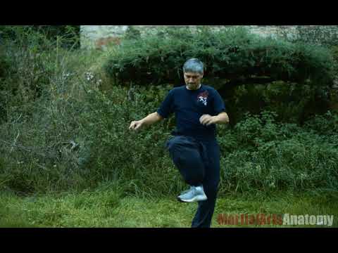 Из предшествующего видео