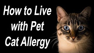 Pet Cat Allergy Management: What to do if You Have Bad Cat Allergies!