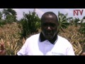 Namutumba farmers advised to plant quick maturing crops
