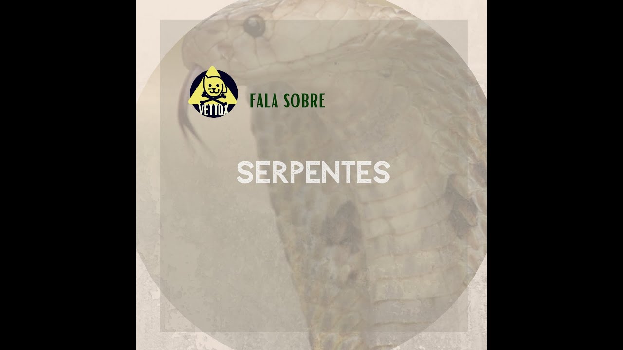 Serpentes