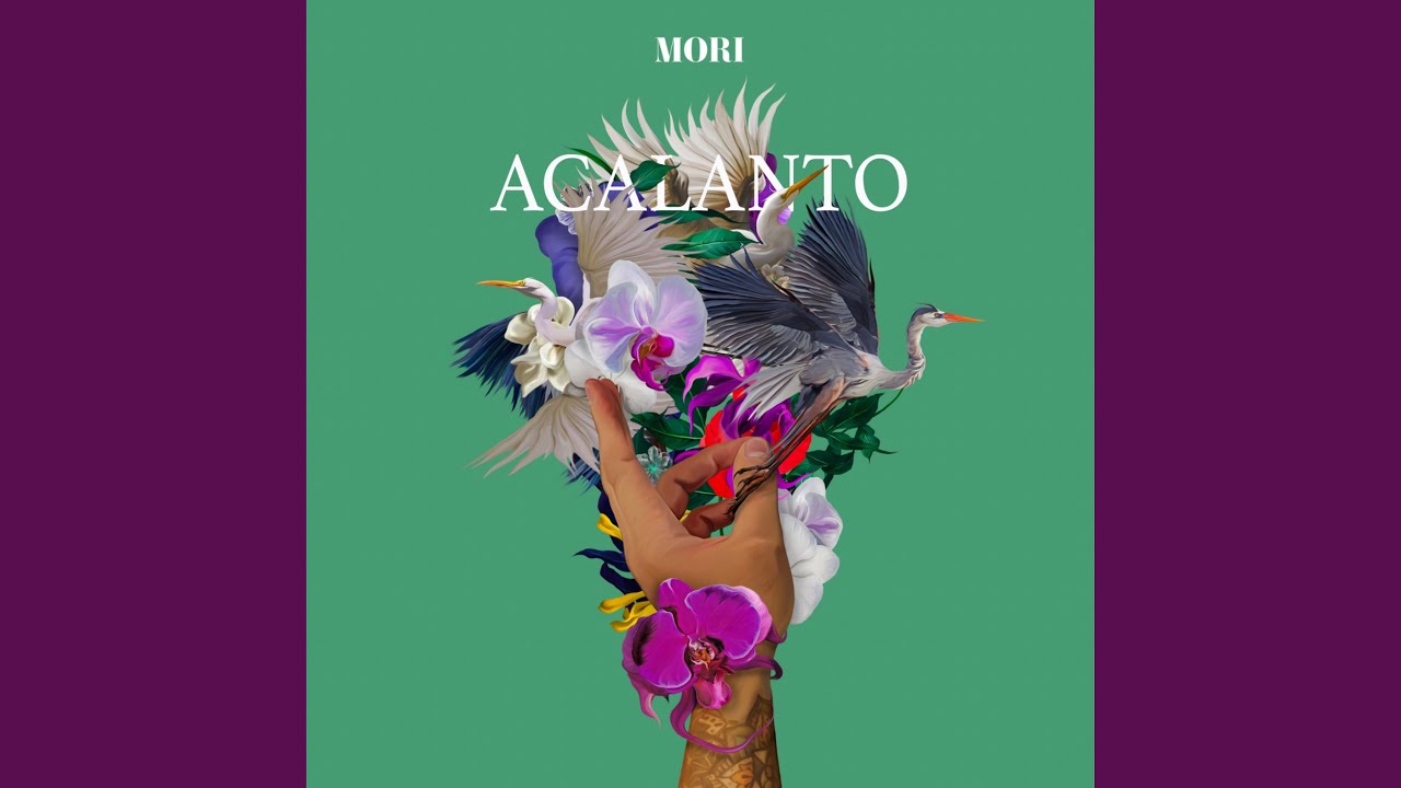 Watch Acalanto on YouTube Watch Acalanto on YouTube
