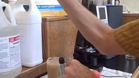 Yeast Cell Counting 1 - More Videos At www.coloradoboy.com