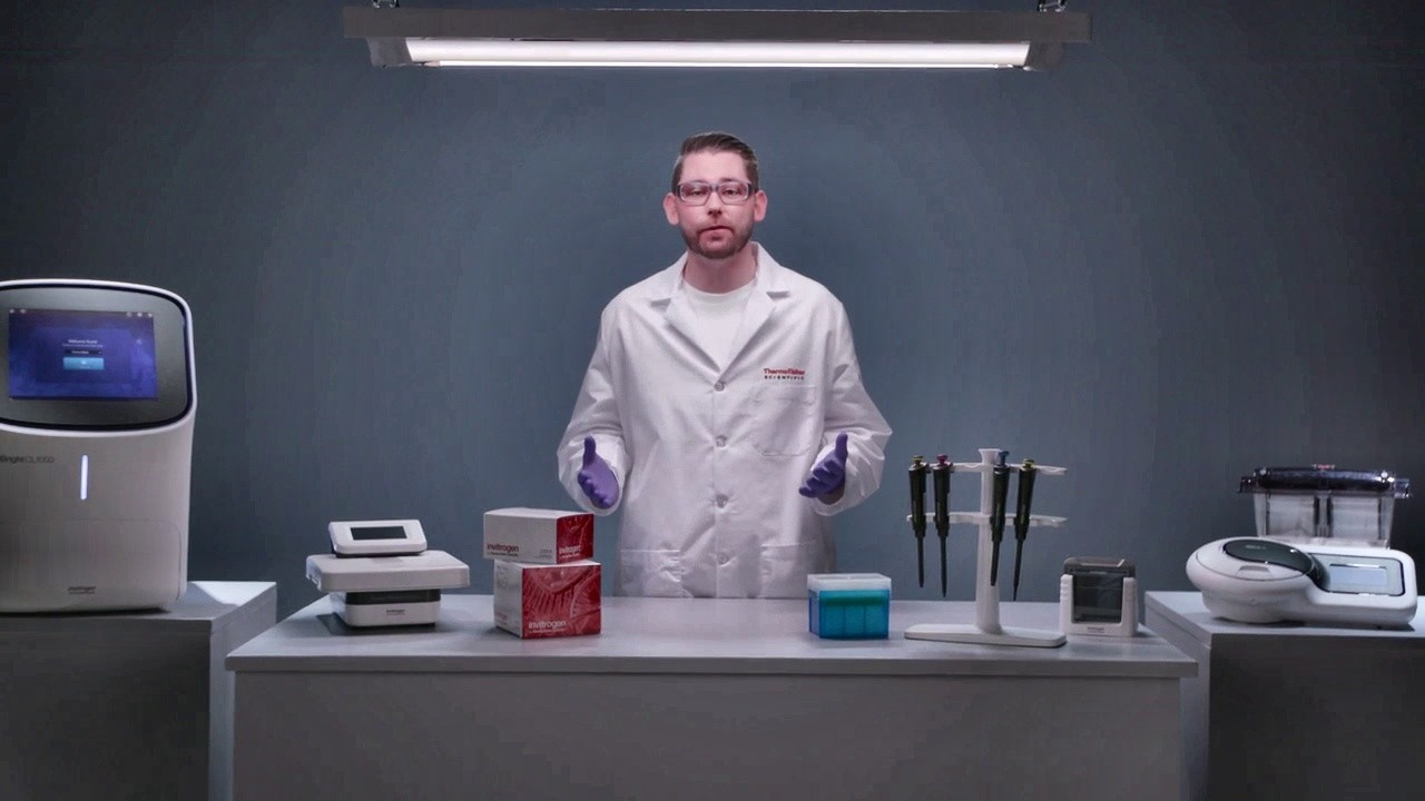 Chemiluminescence Western Blot - Reliable Chemiluminescent Protein Detection for Western Blots