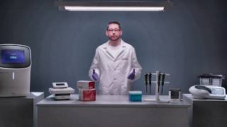 Chemiluminescence Western Blot - Reliable Chemiluminescent Protein Detection for Western Blots