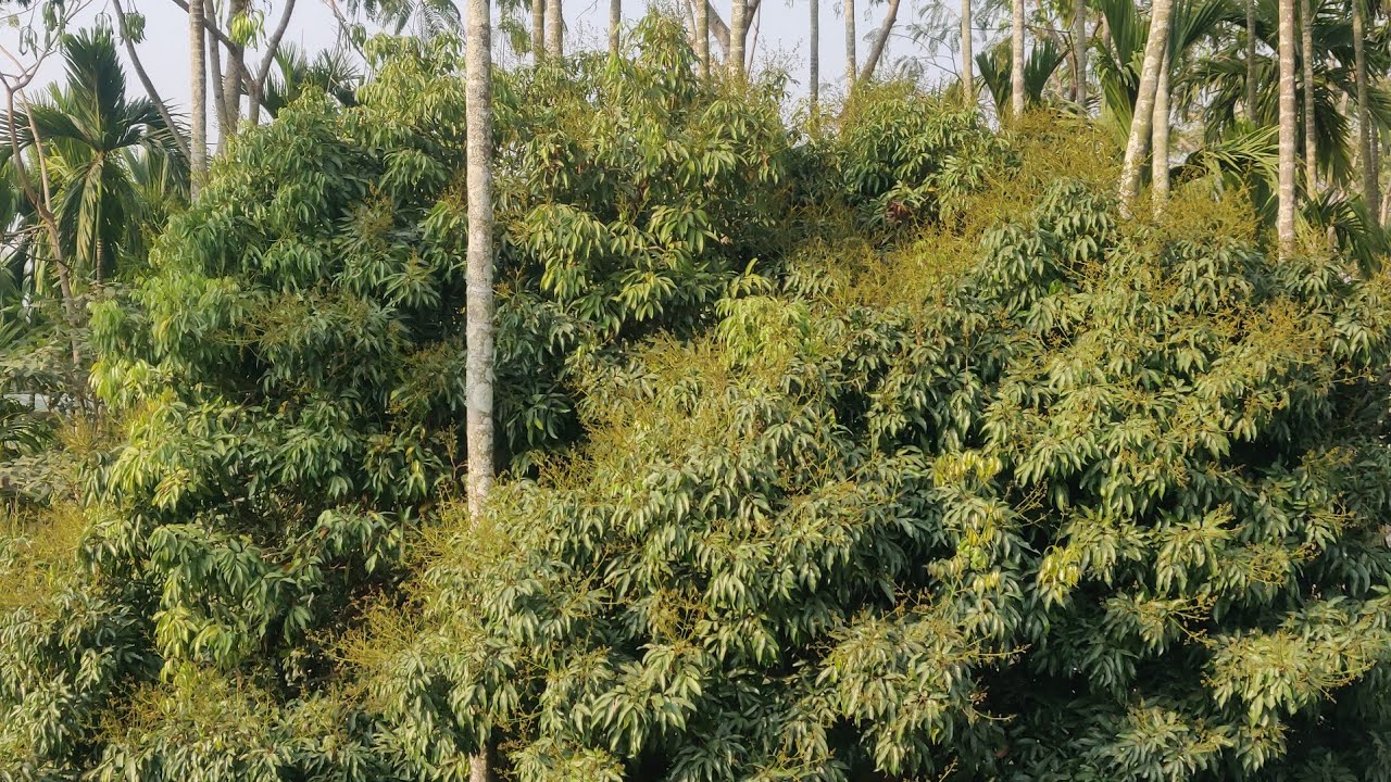 #guys look nice view hai na#